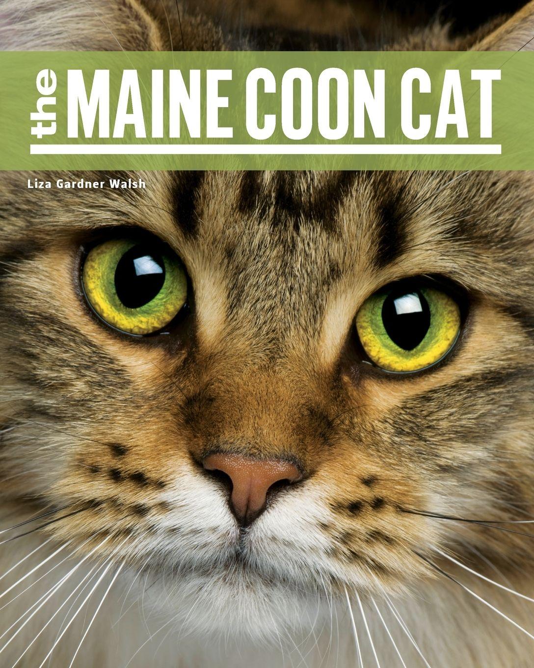 Vorderes Coverbild The Maine Coon Cat