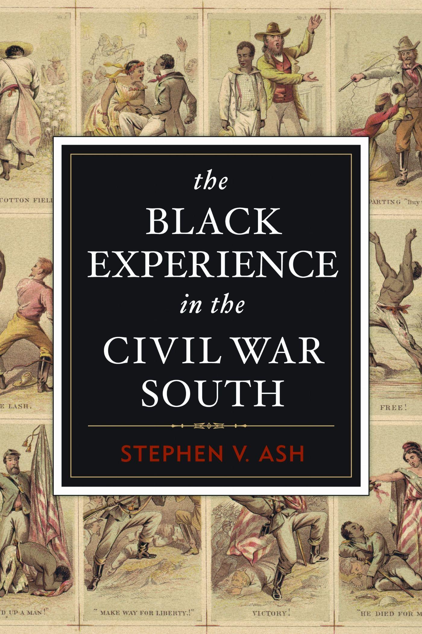 Vorderes Coverbild The Black Experience in the Civil War South
