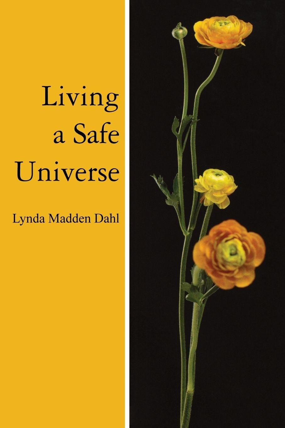 Vorderes Coverbild Living a Safe Universe