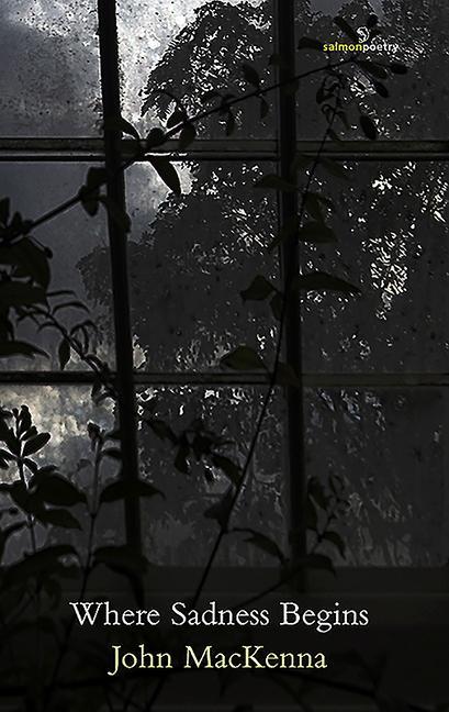 Vorderes Coverbild Where Sadness Begins