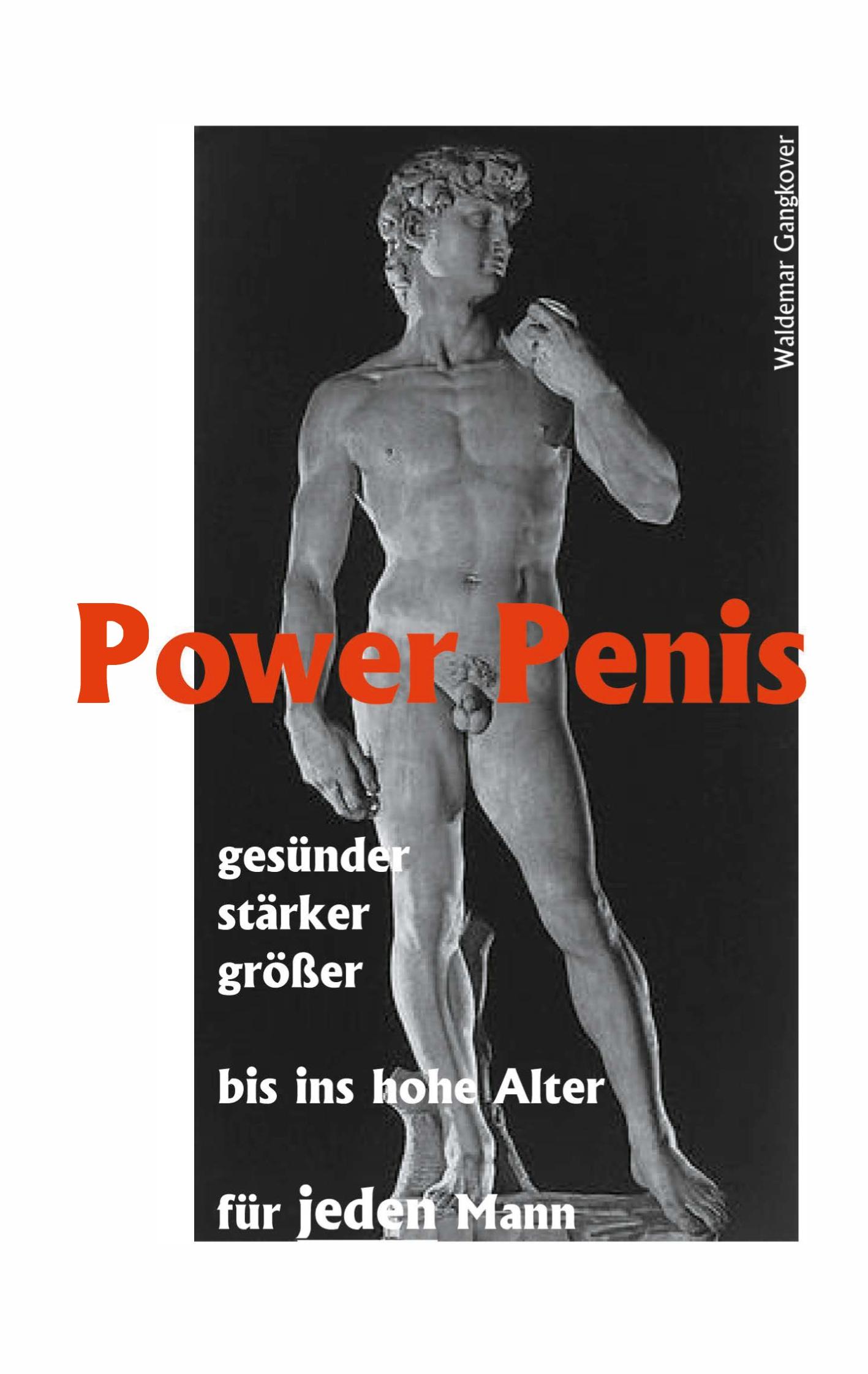 Vorderes Coverbild Power Penis