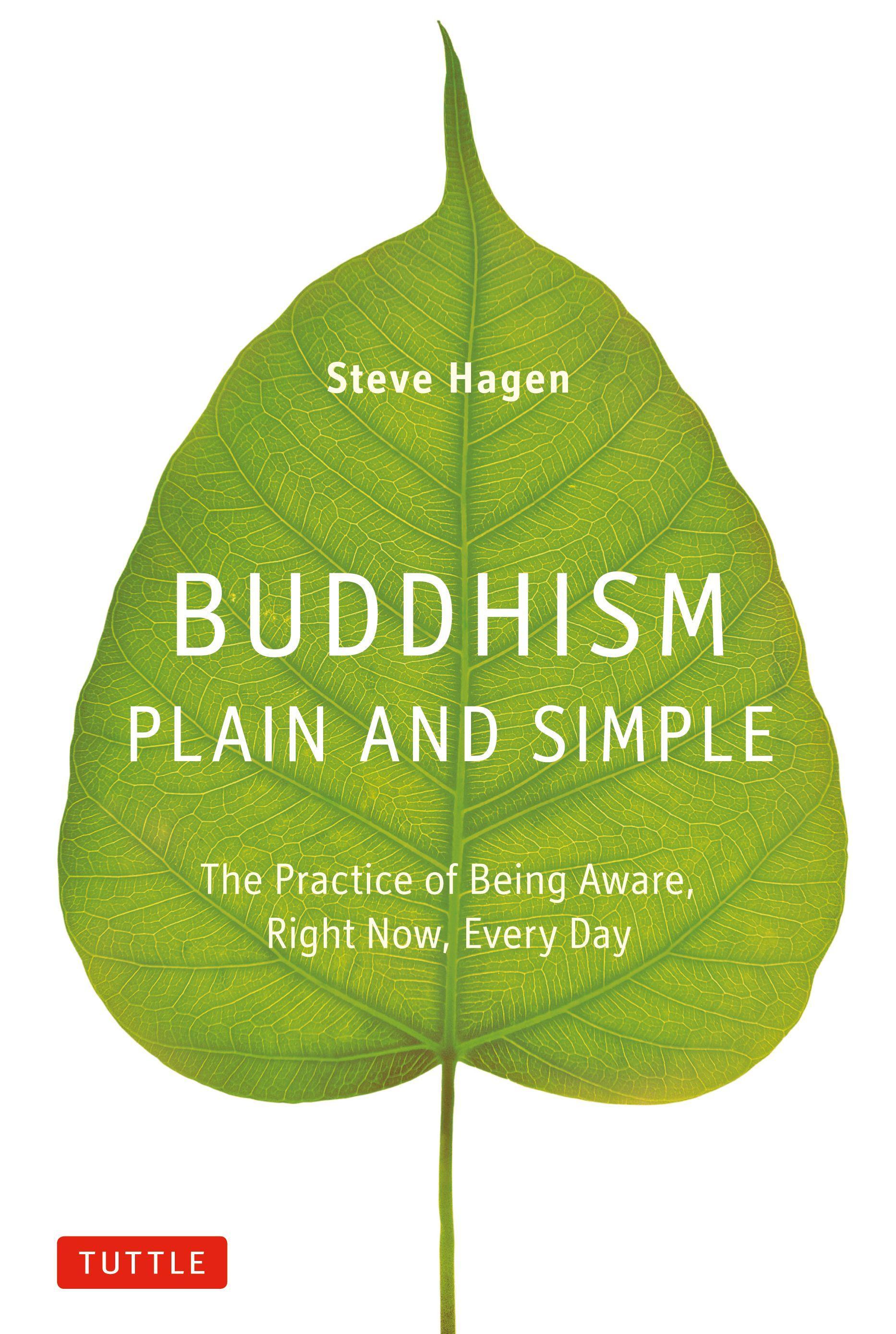 Vorderes Coverbild Buddhism Plain and Simple