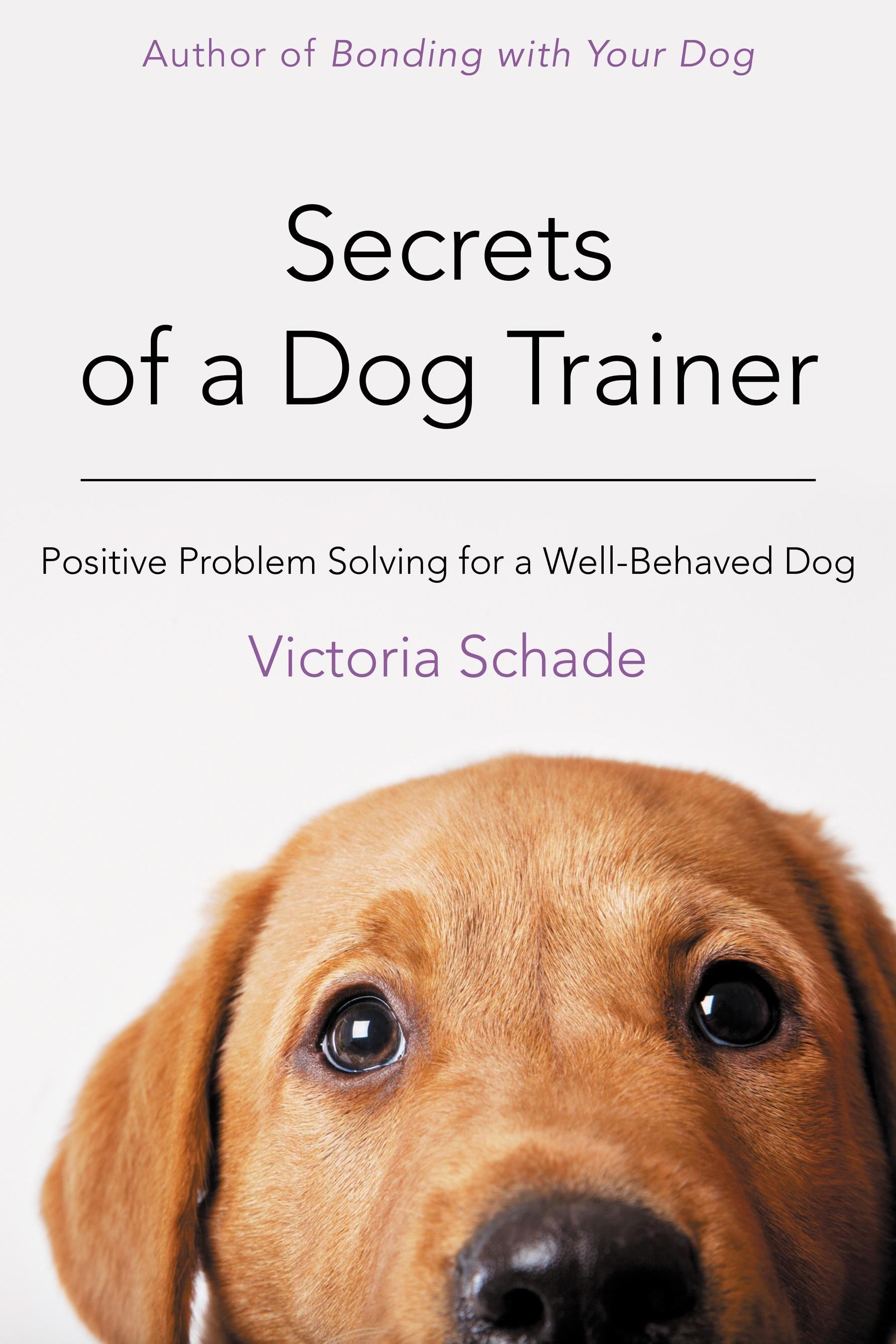 Vorderes Coverbild Secrets of a Dog Trainer