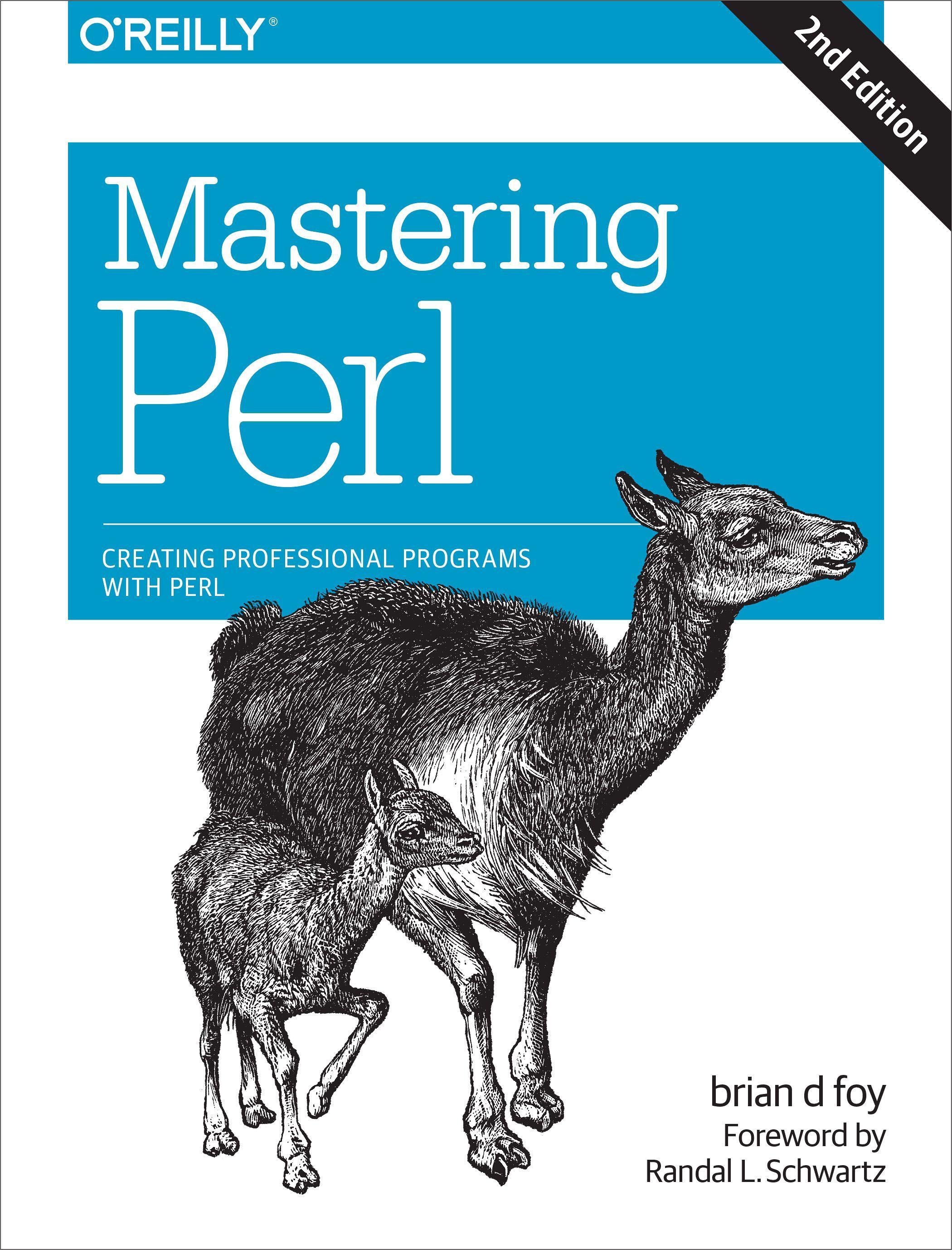 Vorderes Coverbild Mastering Perl
