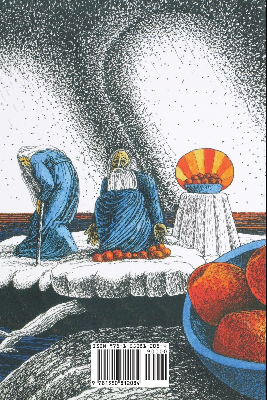 Rückseitencover The Winter of Remarkable Oranges