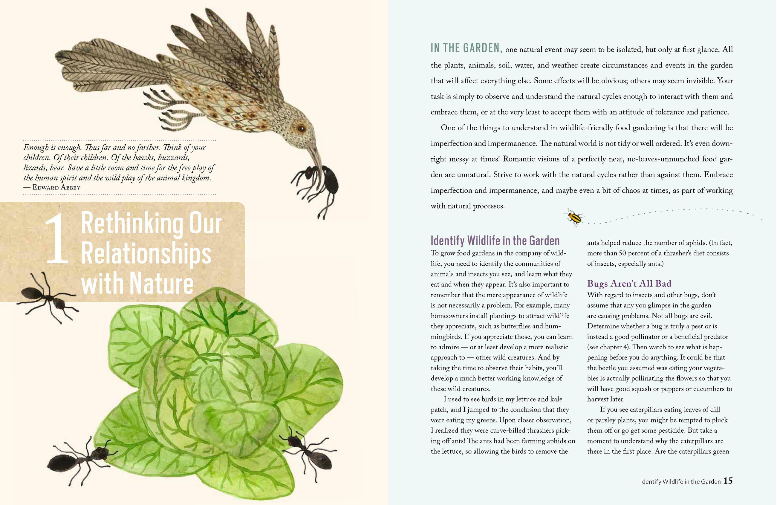 Beispielinhalt (Bild) The Wildlife-Friendly Vegetable Gardener