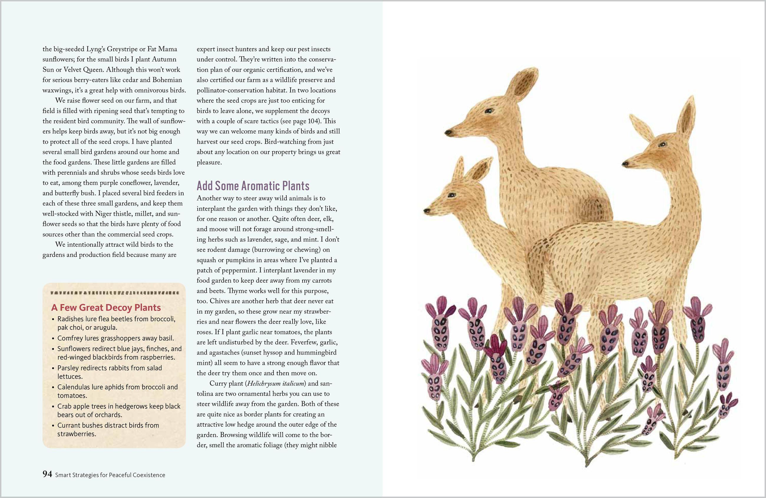 Beispielinhalt (Bild) The Wildlife-Friendly Vegetable Gardener