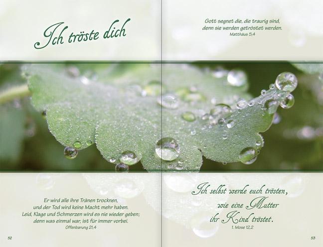 Beispielinhalt (Bild) Ich bin da, dir ganz nah