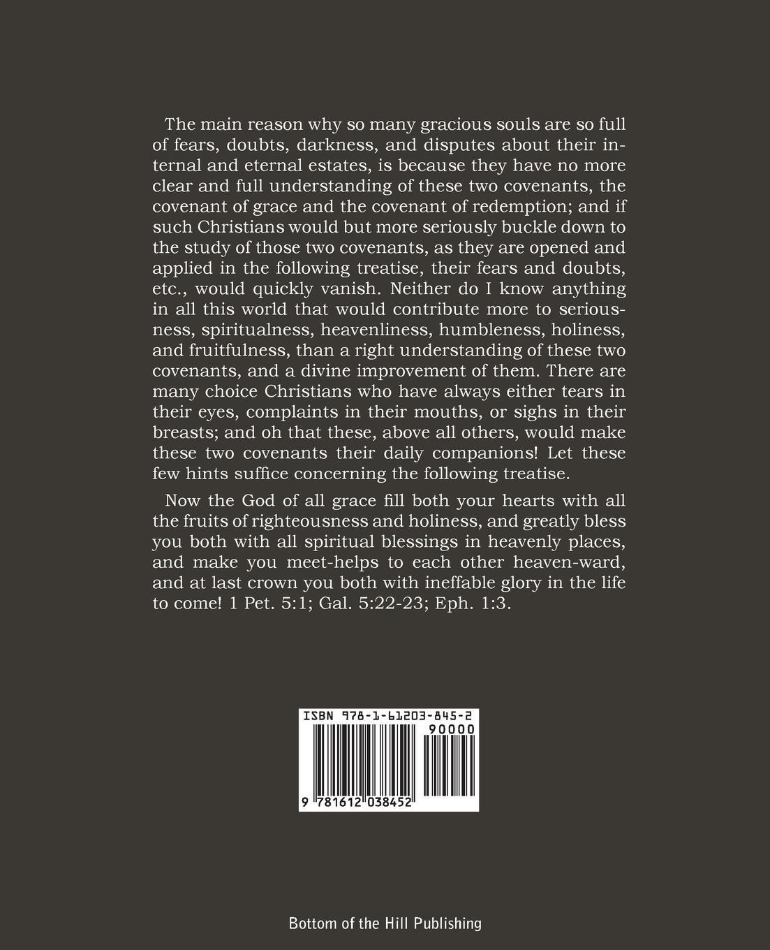 Rückseitencover Paradise Opened