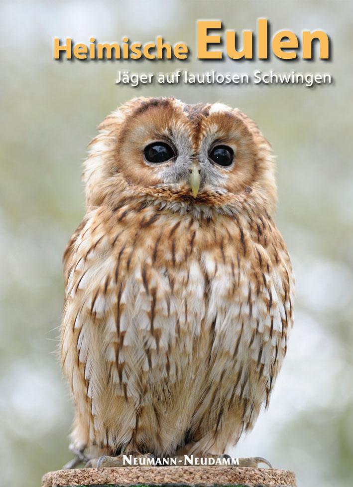 Vorderes Coverbild Heimische Eulen