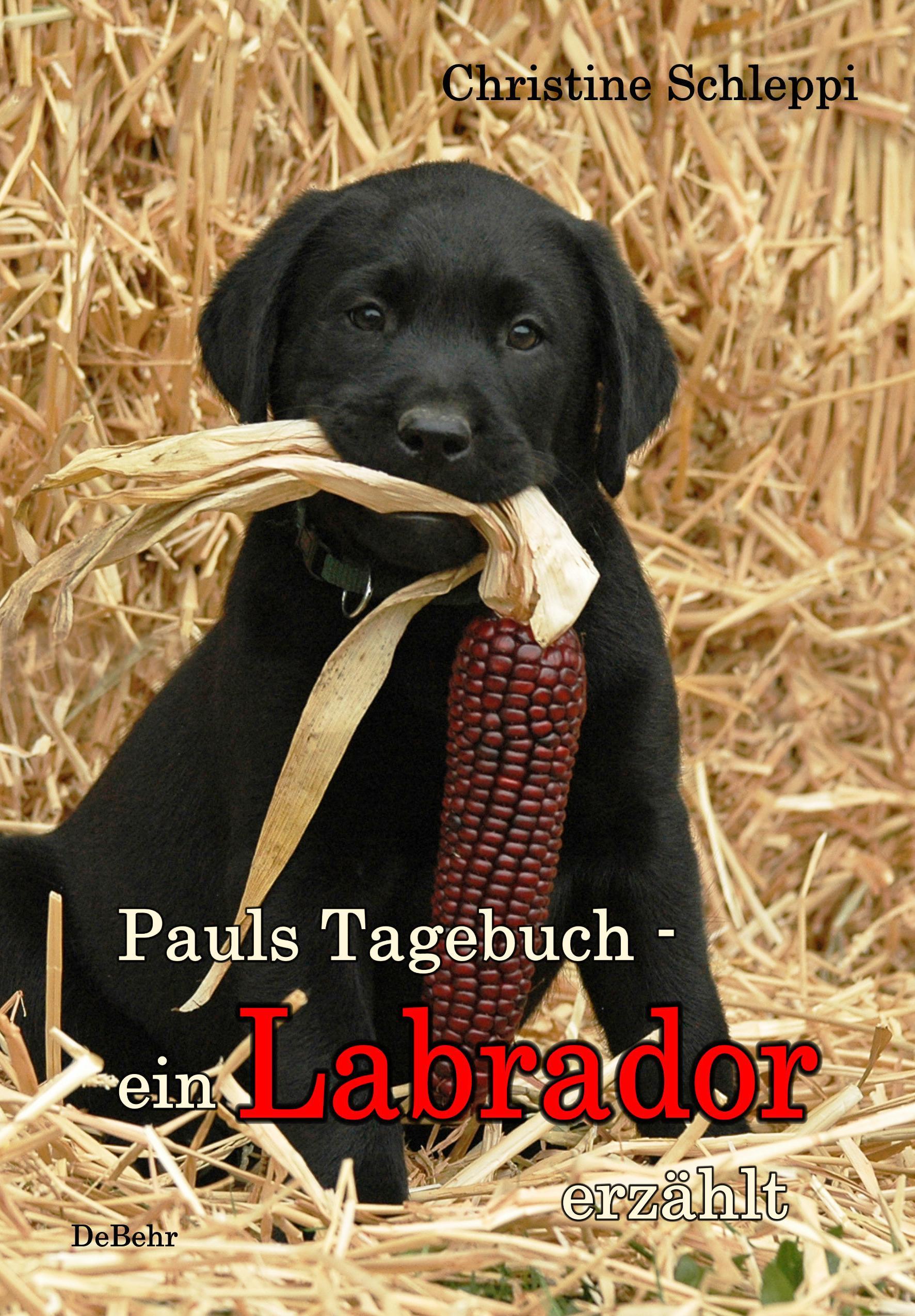 Vorderes Coverbild Pauls Tagebuch - ein Labrador erzählt