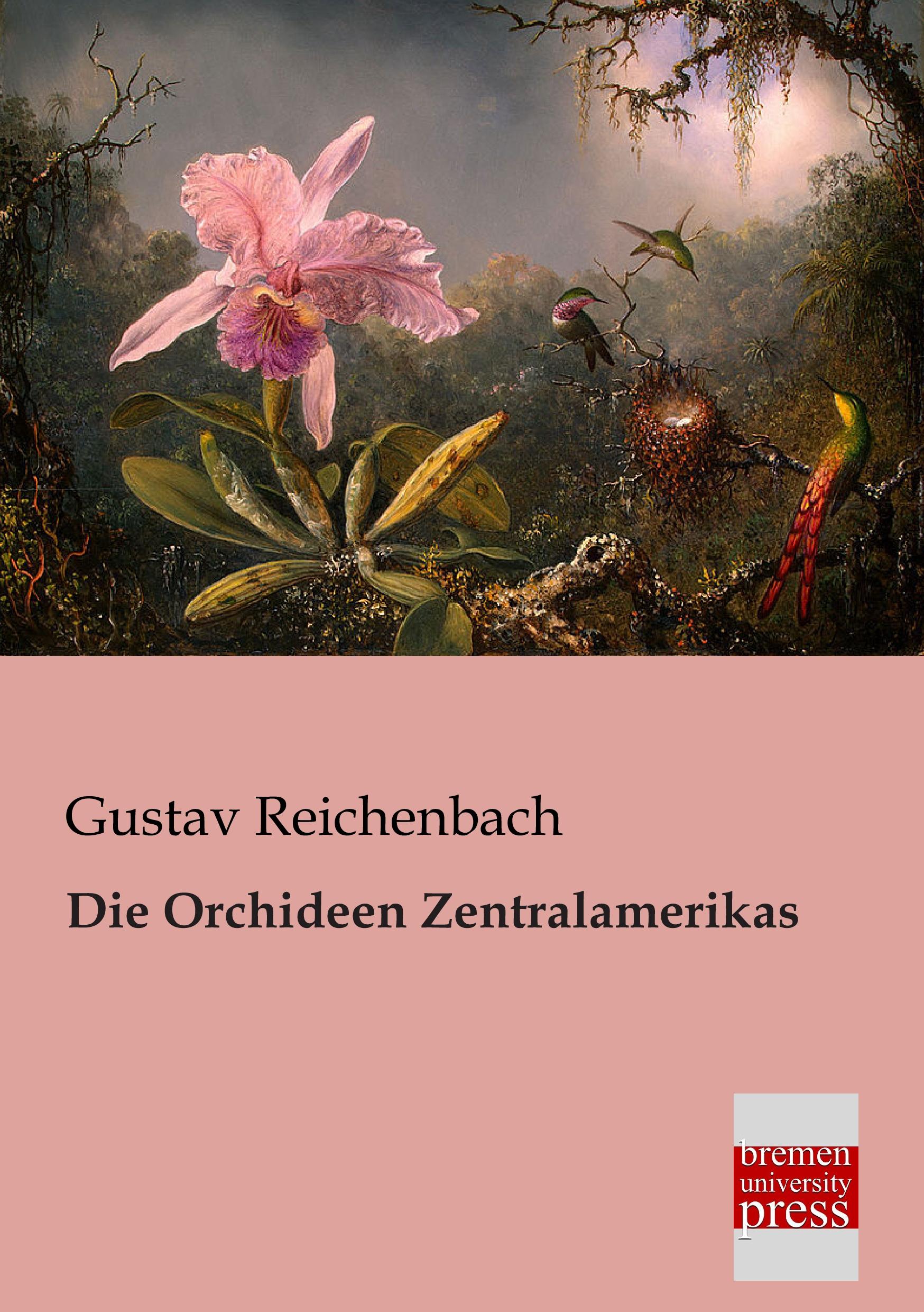 Vorderes Coverbild Die Orchideen Zentralamerikas
