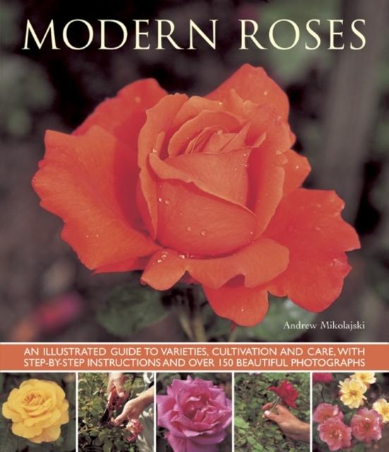 Vorderes Coverbild Modern Roses