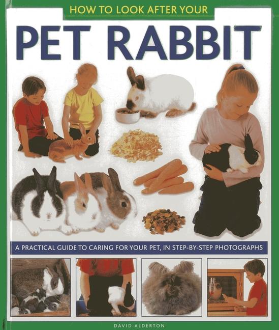 Vorderes Coverbild How to Look After Your Pet Rabbit