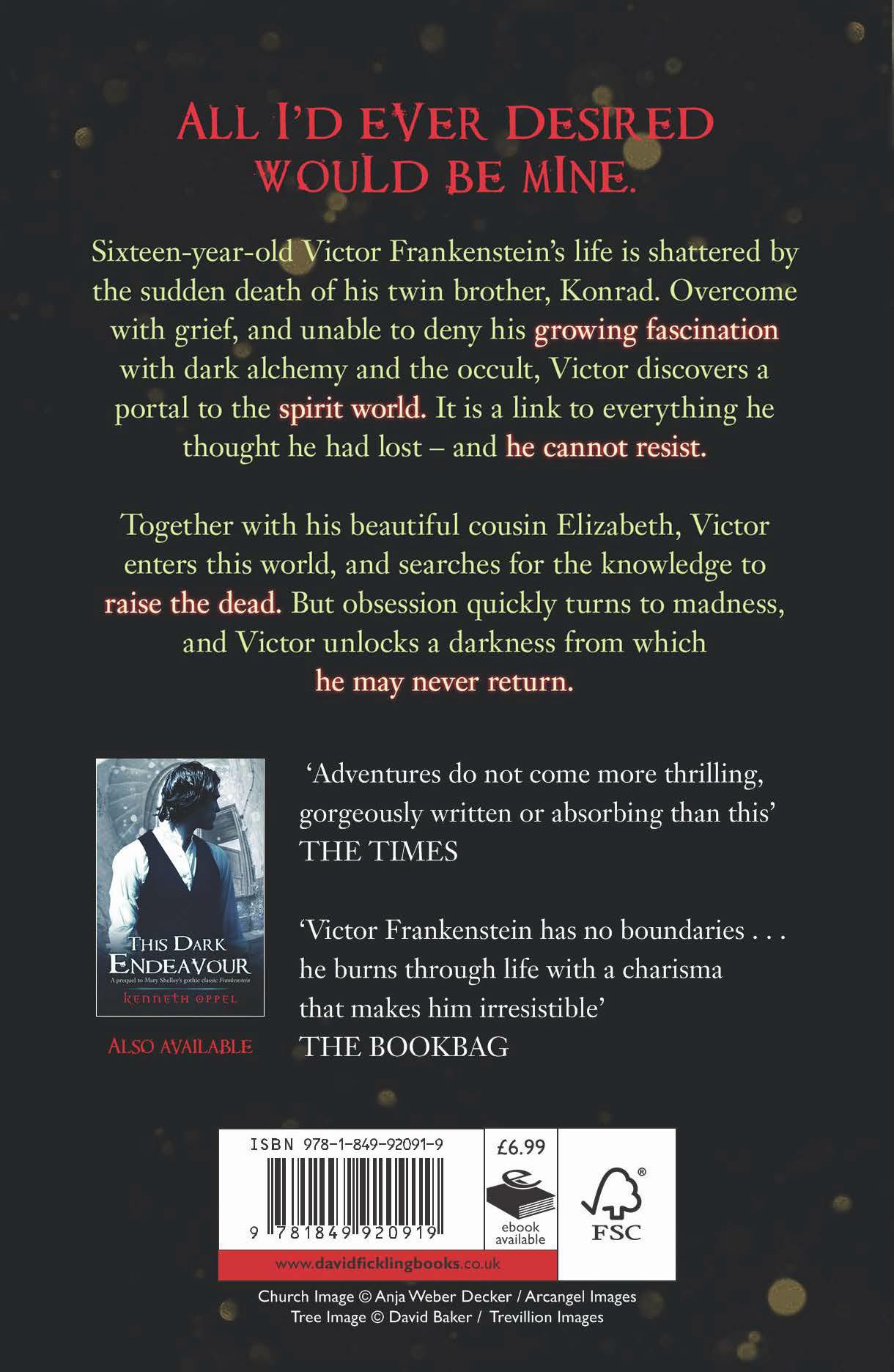 Rückseitencover Such Wicked Intent