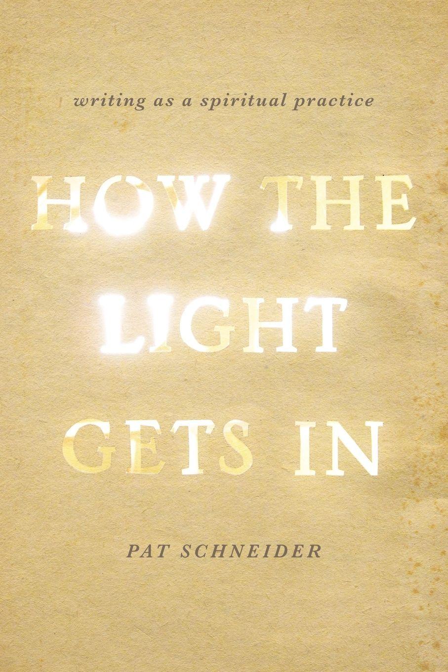 Vorderes Coverbild How the Light Gets in