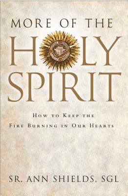 Vorderes Coverbild More of the Holy Spirit: How to Keep the Fire Burning in Our Hearts