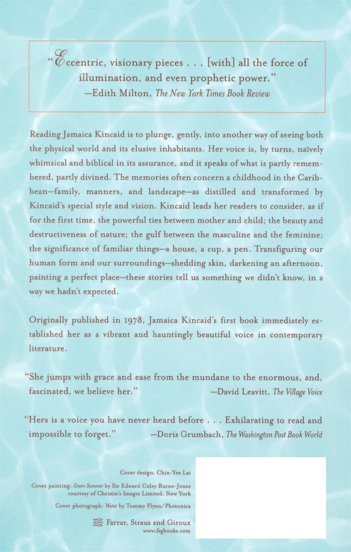 Rückseitencover At the Bottom of the River