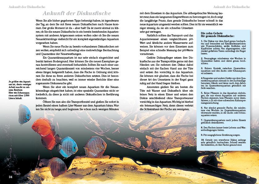 Beispielinhalt (Bild) Diskusfische