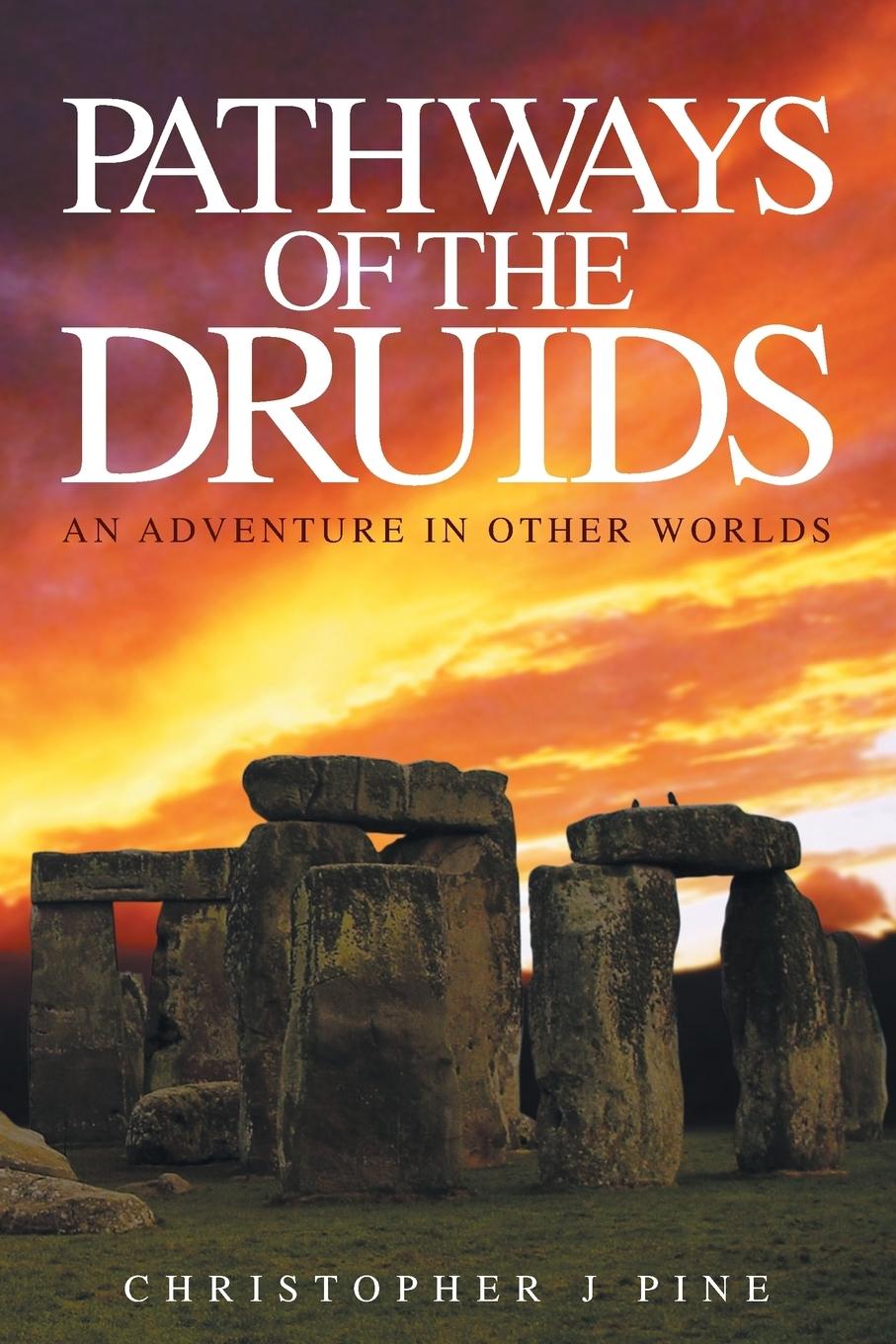 Vorderes Coverbild Pathways of the Druids