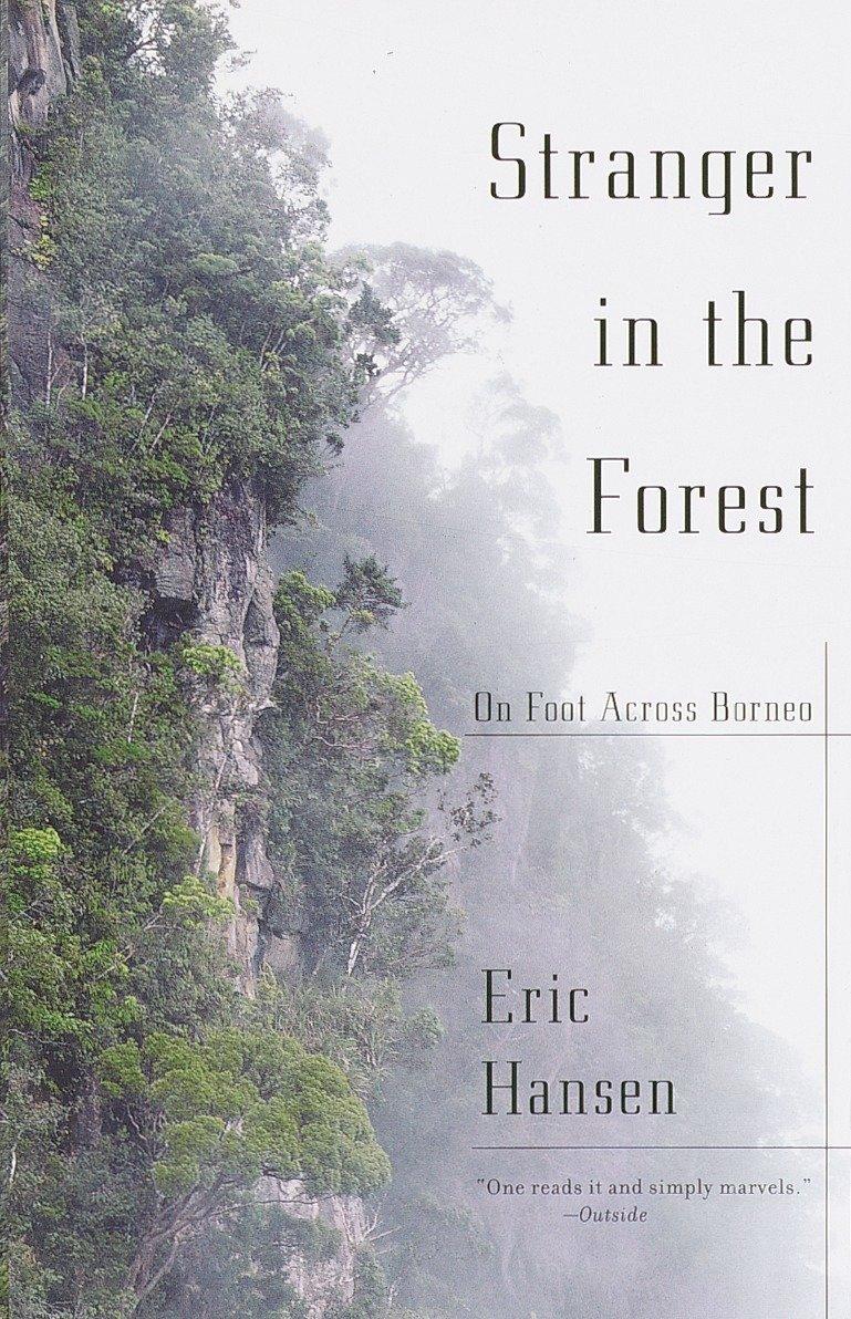 Vorderes Coverbild Stranger in the Forest