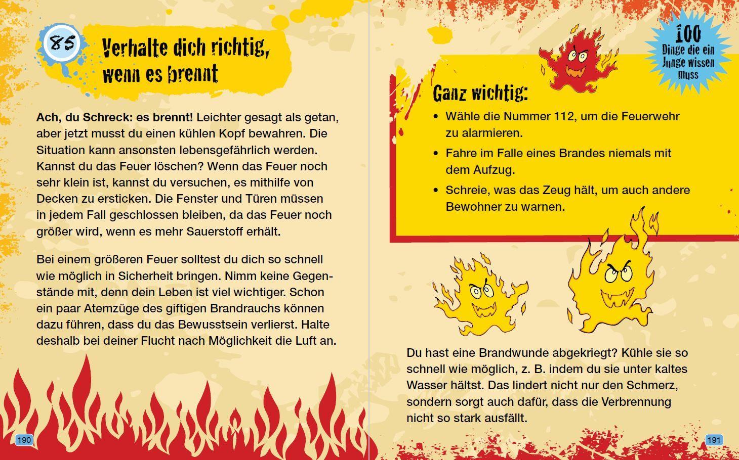 Beispielinhalt (Bild) 100 Dinge die ein Junge wissen muss