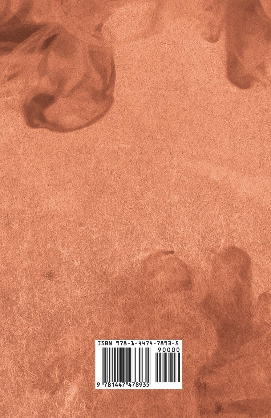 Rückseitencover The Mystery of Orcival