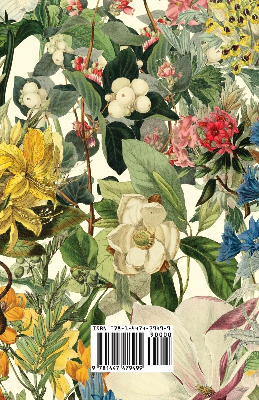 Rückseitencover Window and Indoor Gardening - The Cultivation and Propagation of Foliage and Flowering Plants in Rooms, Window Boxes, Balconies and Verandahs; also on Roofs, and on the Walls of the House