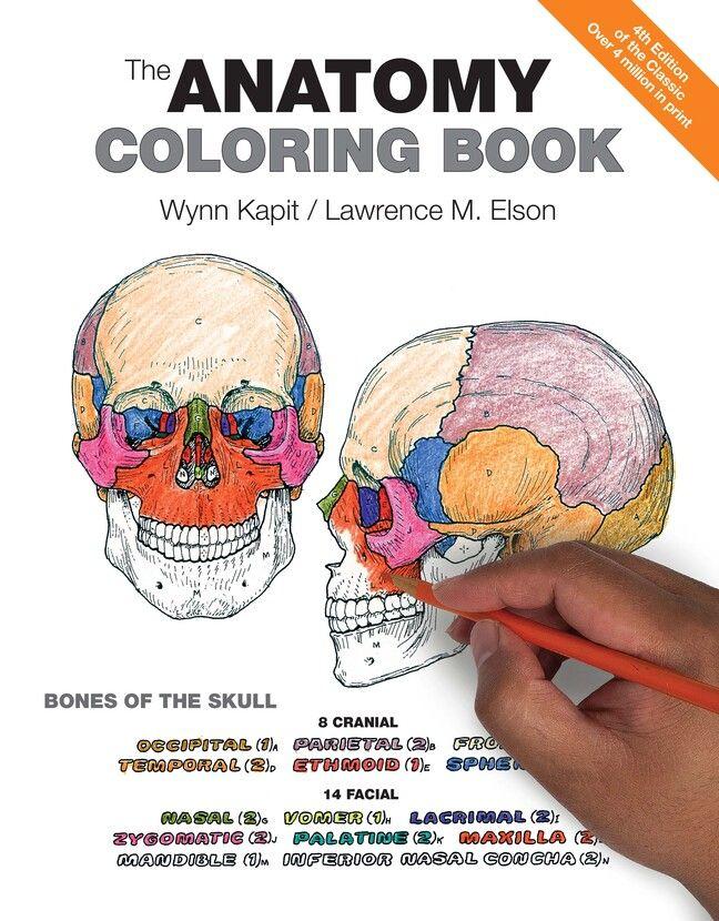Vorderes Coverbild Anatomy Coloring Book, The