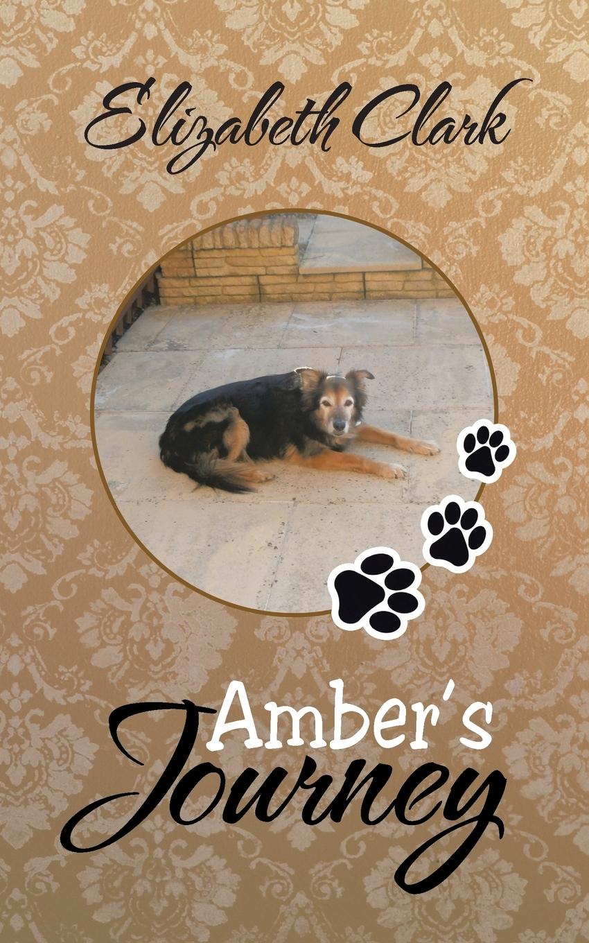 Vorderes Coverbild Amber's Journey