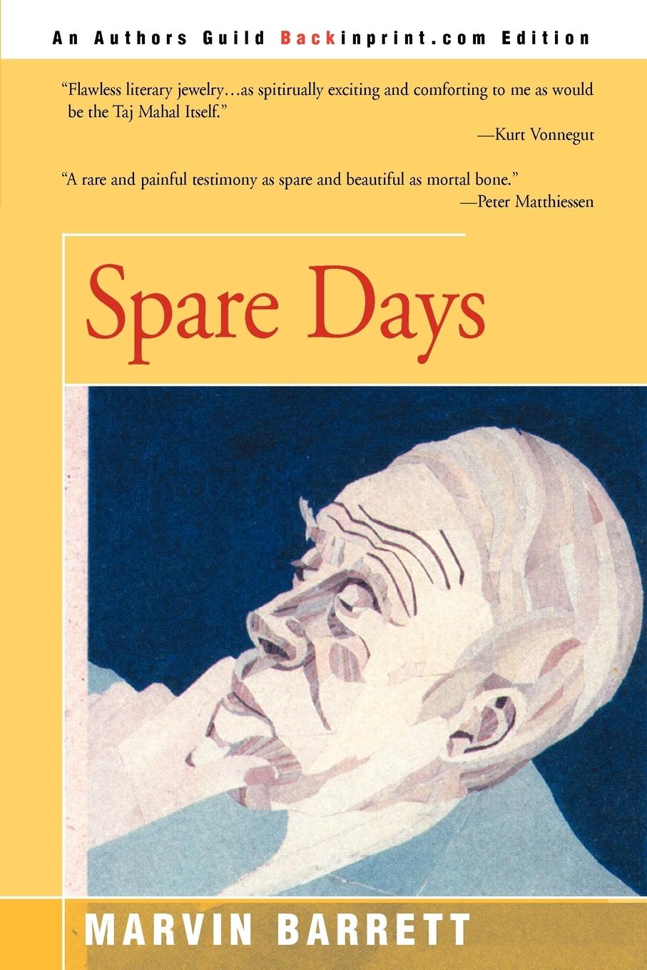 Vorderes Coverbild Spare Days