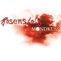 Vorderes Coverbild Mondkuss
