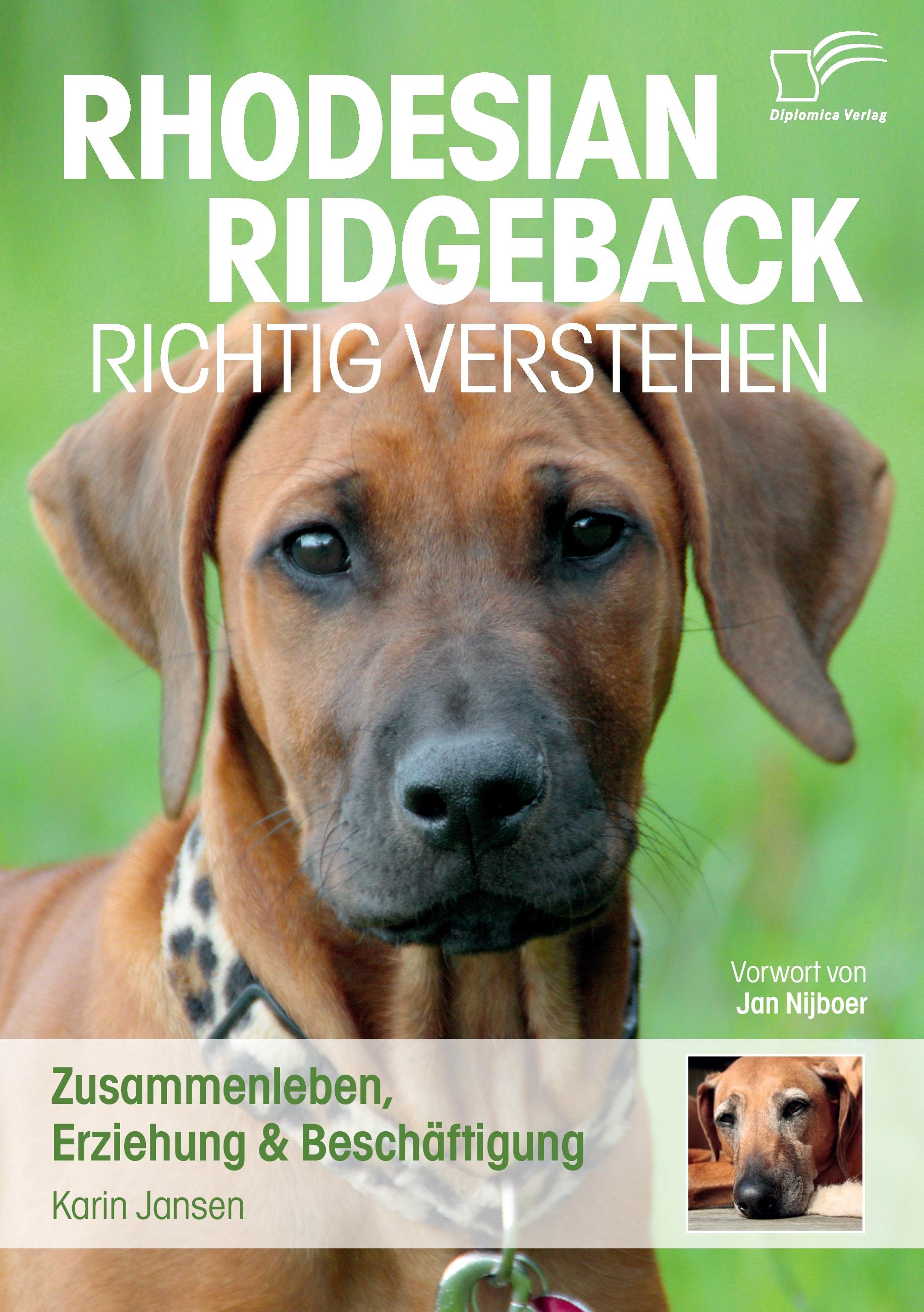 Vorderes Coverbild Rhodesian Ridgeback richtig verstehen: Zusammenleben, Erziehung & Beschäftigung