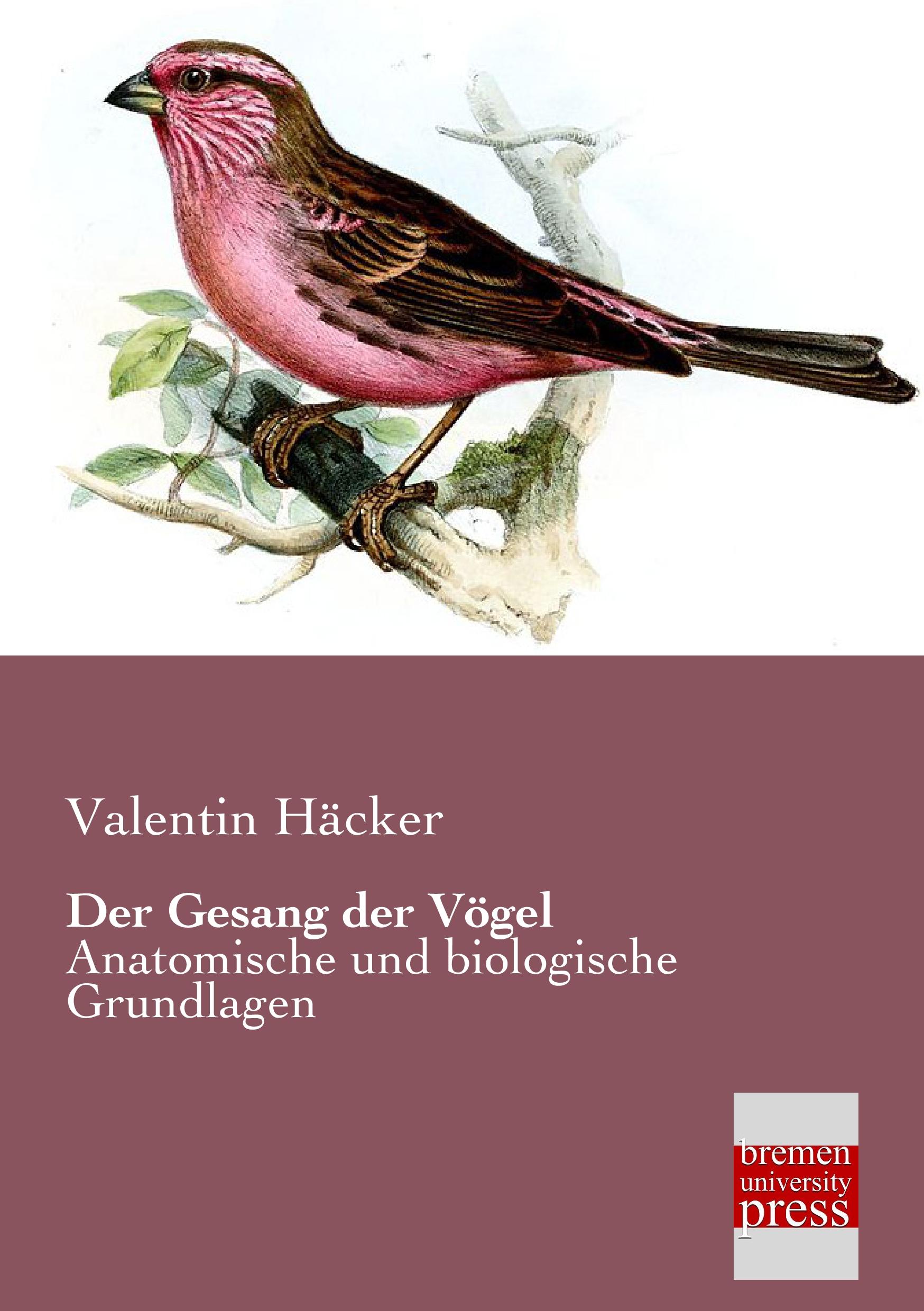 Vorderes Coverbild Der Gesang der Vögel