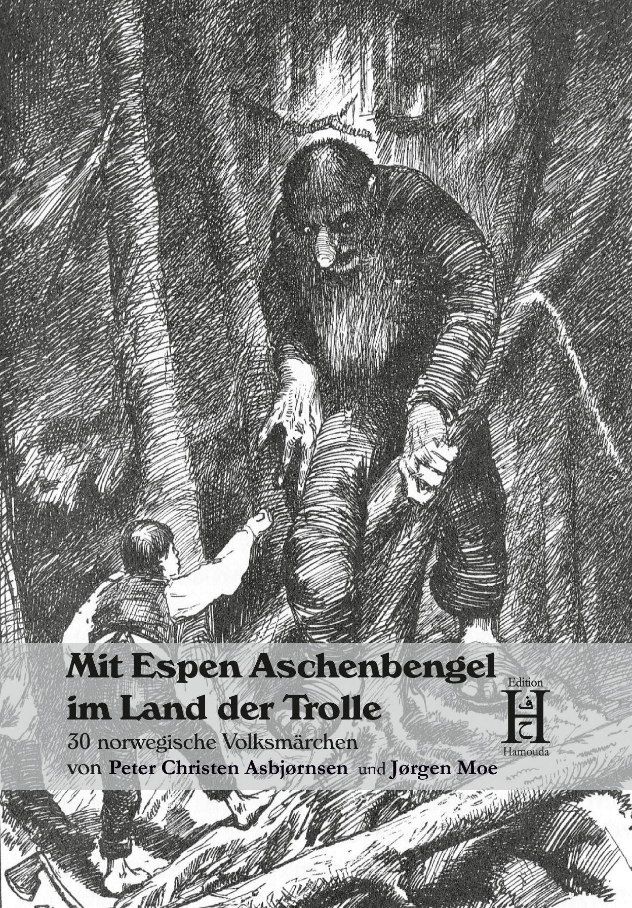 Vorderes Coverbild Mit Espen Aschenbengel im Land der Trolle