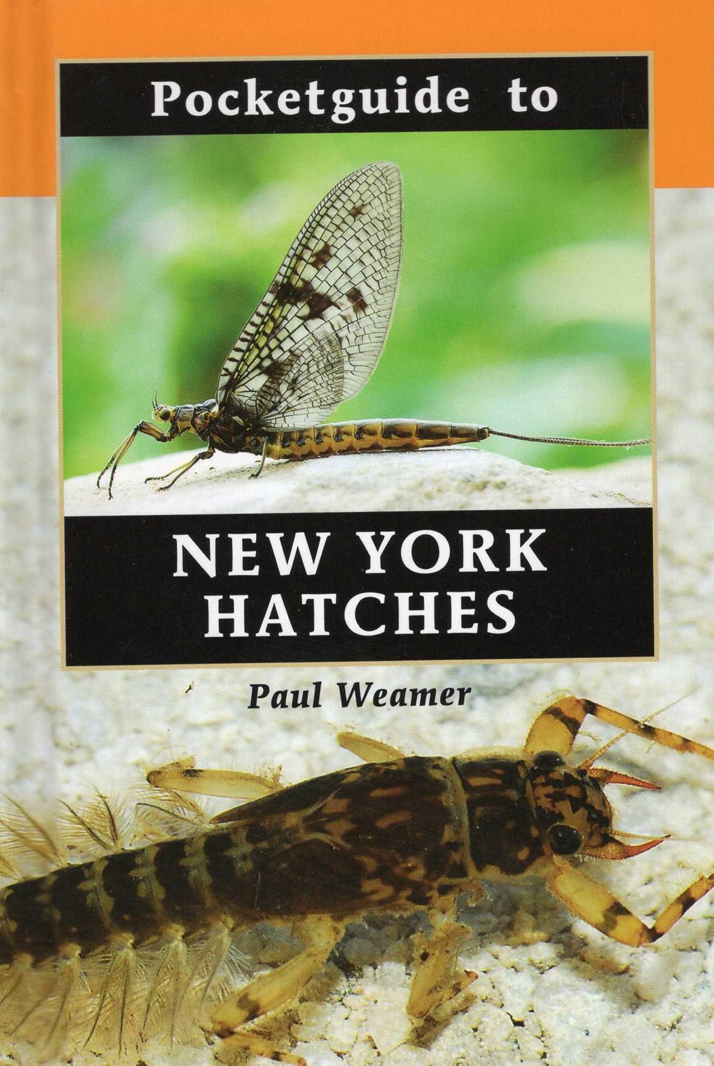 Vorderes Coverbild Pocketguide to New York Hatches