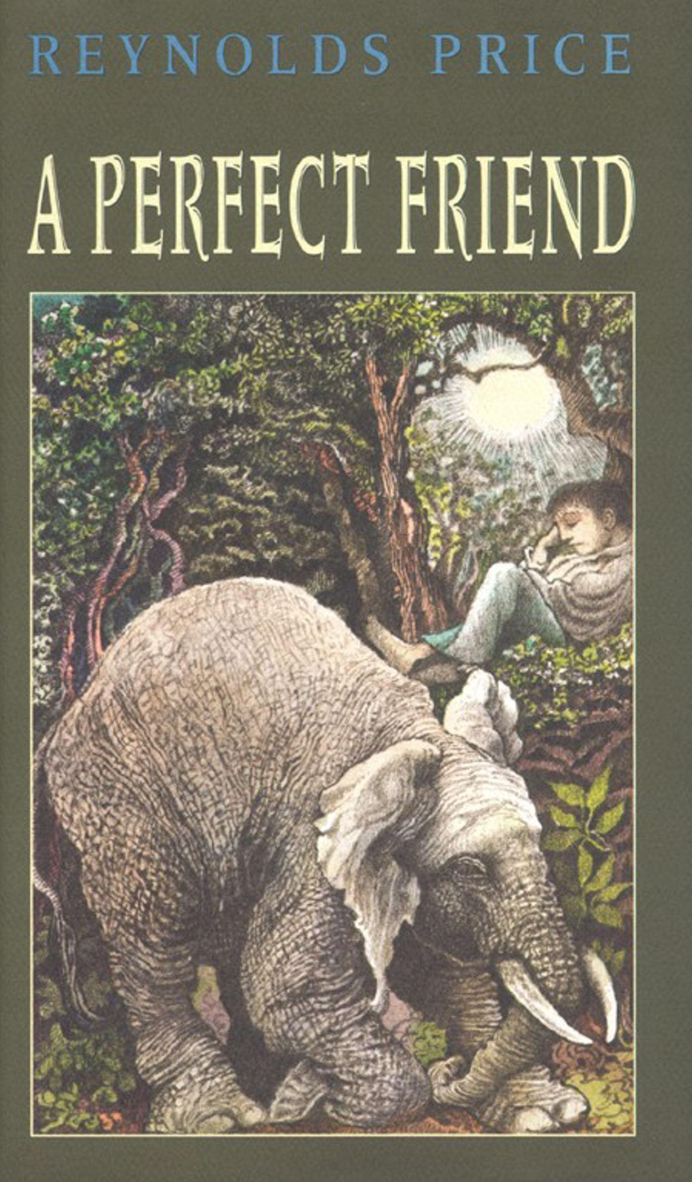 Vorderes Coverbild A Perfect Friend