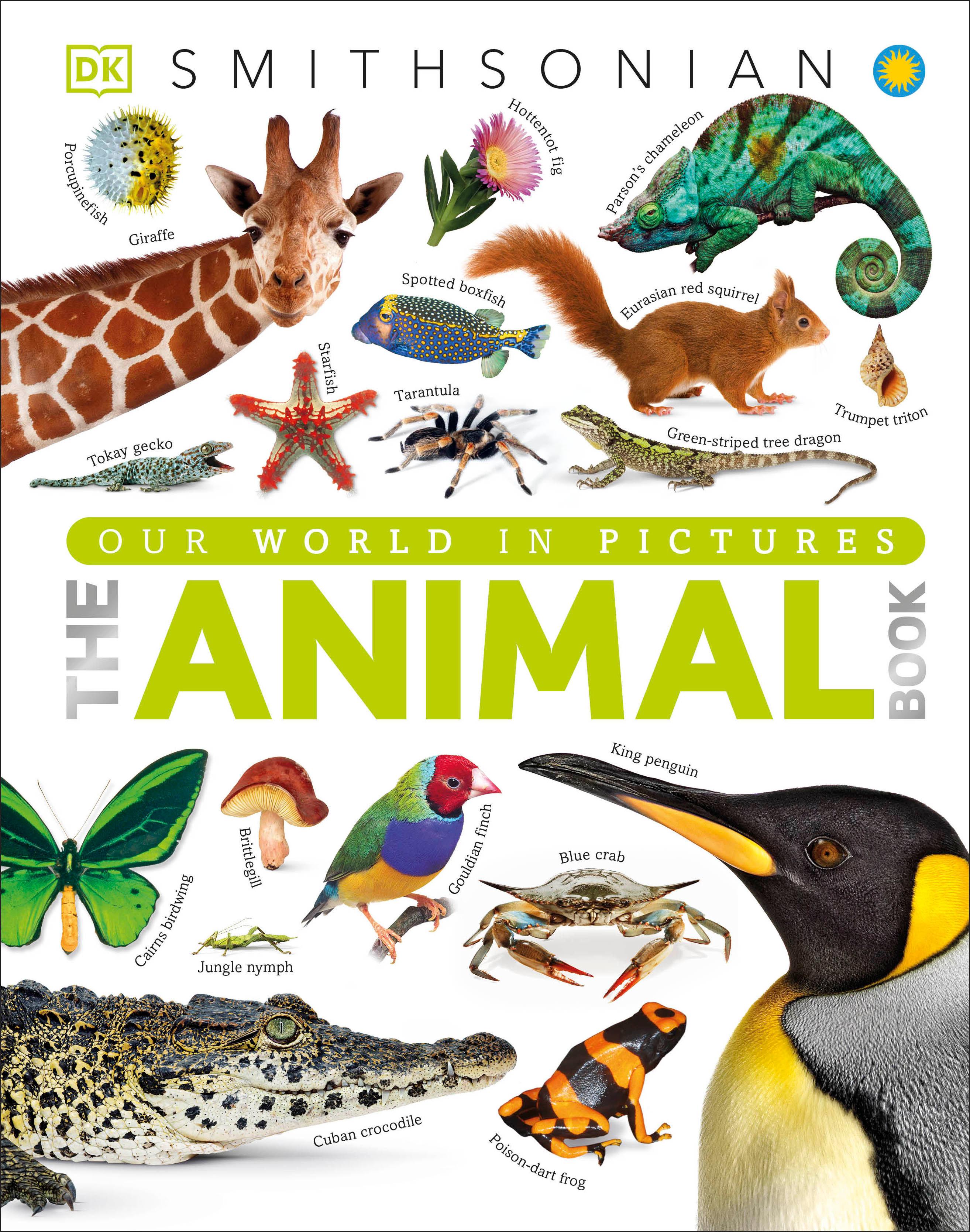 Vorderes Coverbild The Animal Book