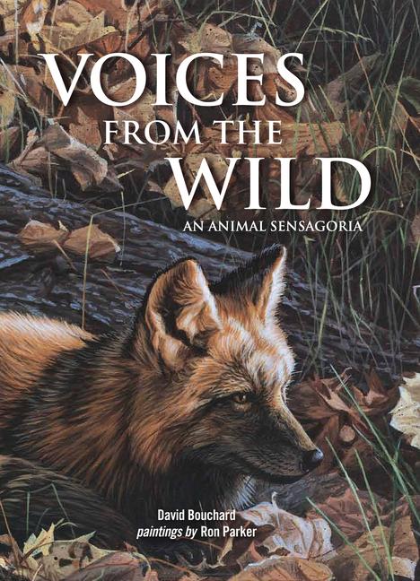 Vorderes Coverbild Voices from the Wild