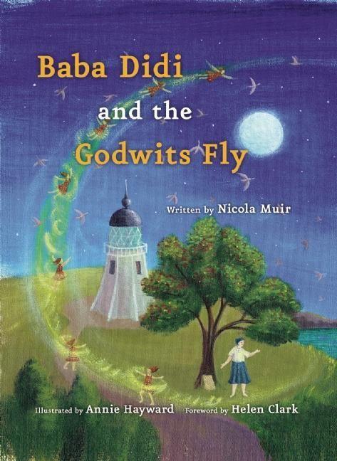 Vorderes Coverbild Baba Didi and the Godwits Fly