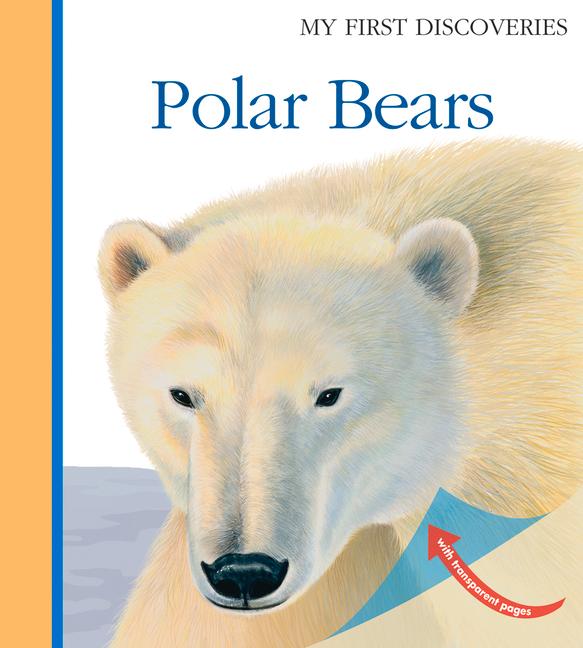 Vorderes Coverbild Polar Bears