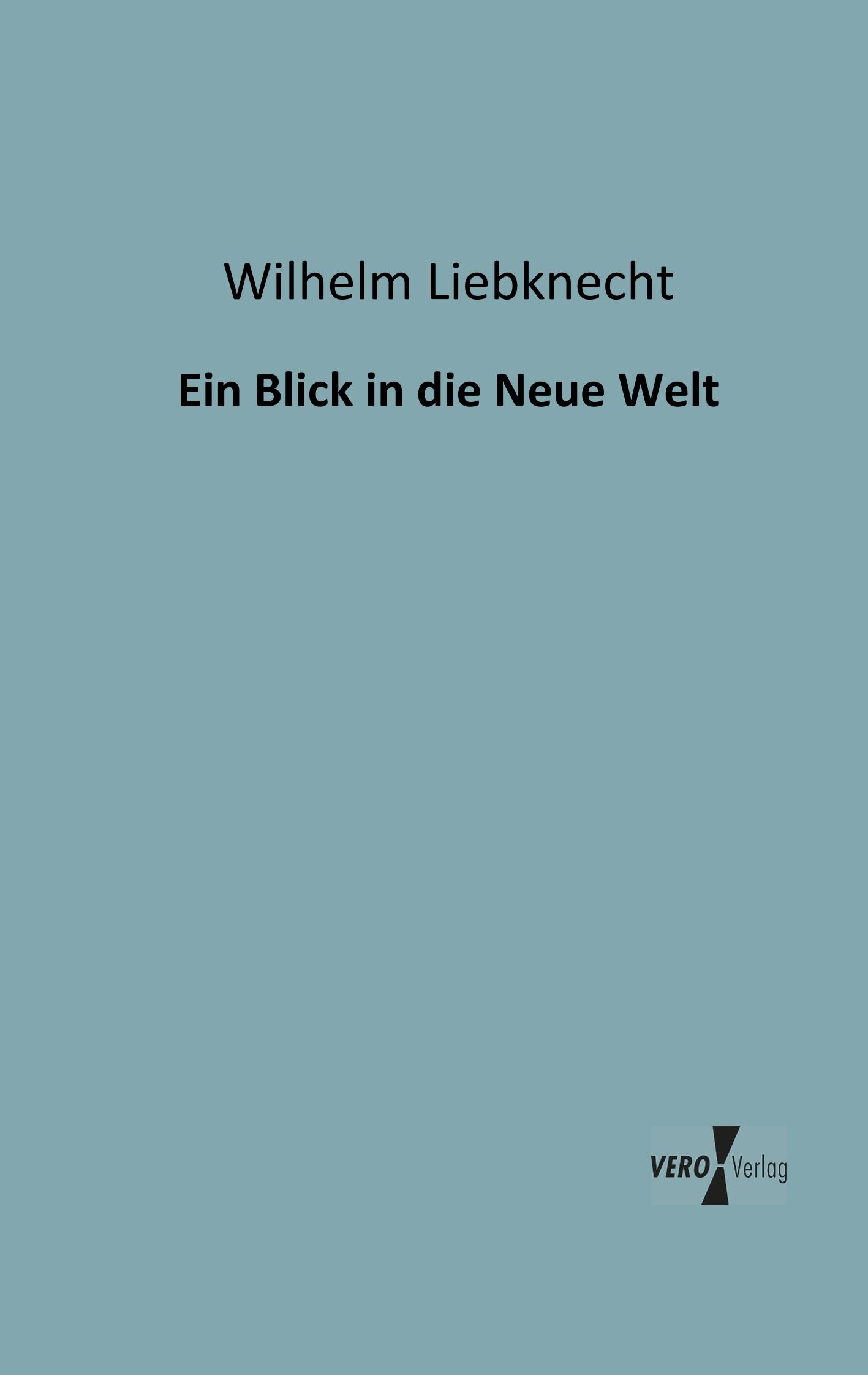 Vorderes Coverbild Ein Blick in die Neue Welt