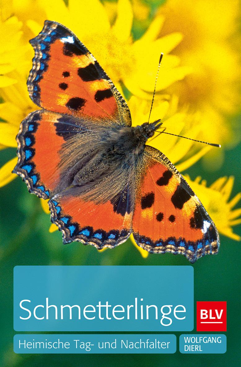 Vorderes Coverbild Schmetterlinge
