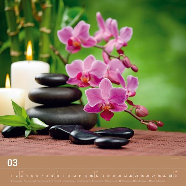 Beispielinhalt (Bild) ZEN 2014