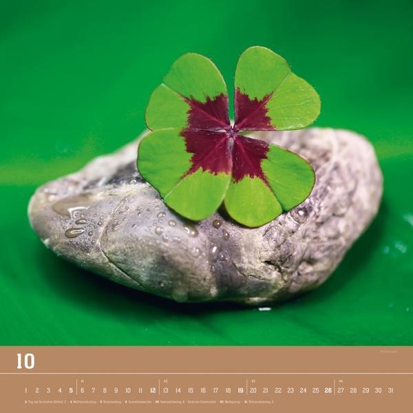 Beispielinhalt (Bild) ZEN 2014