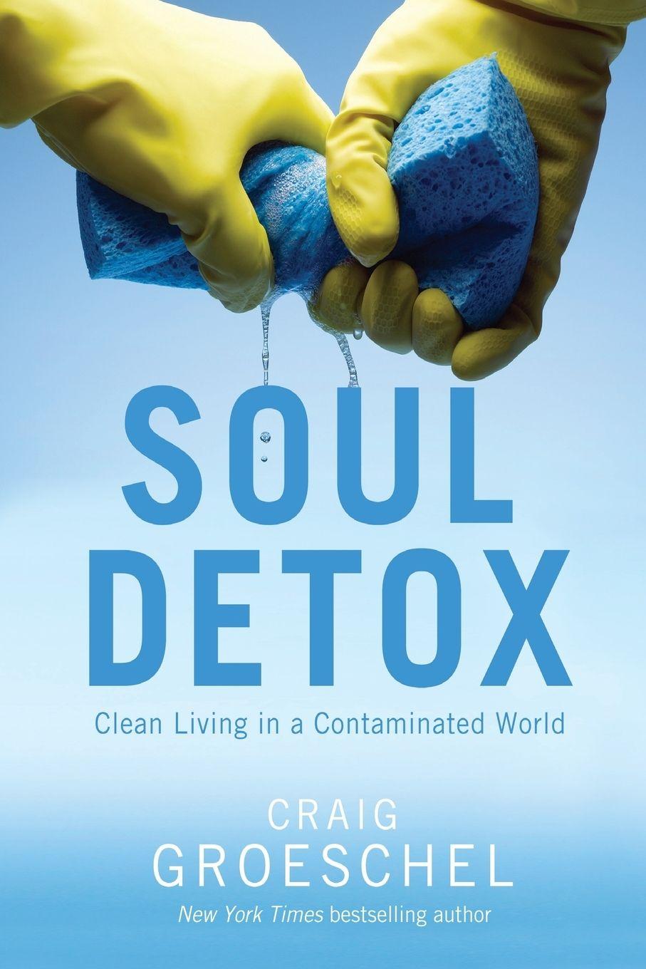 Vorderes Coverbild Soul Detox