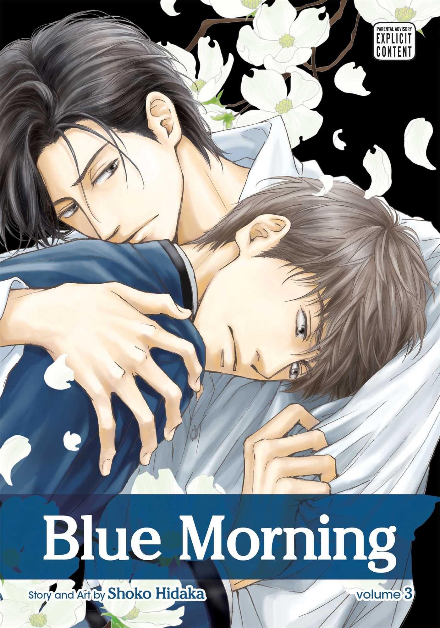 Vorderes Coverbild Blue Morning, Vol. 3