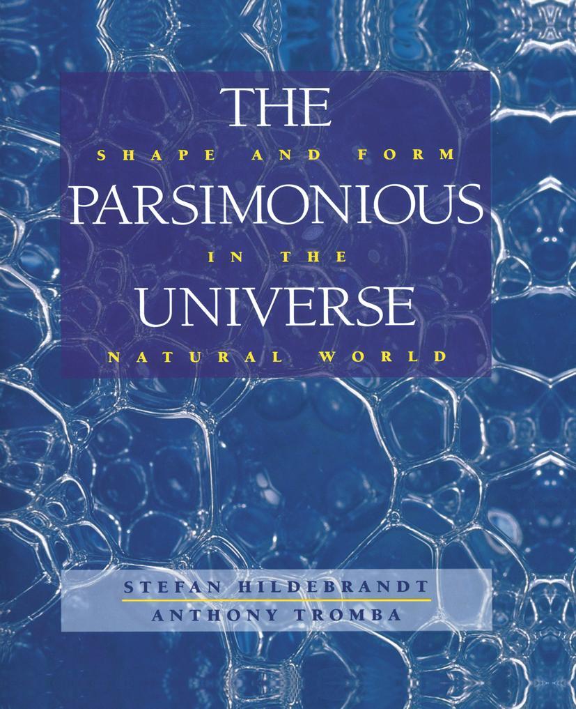 Vorderes Coverbild The Parsimonious Universe