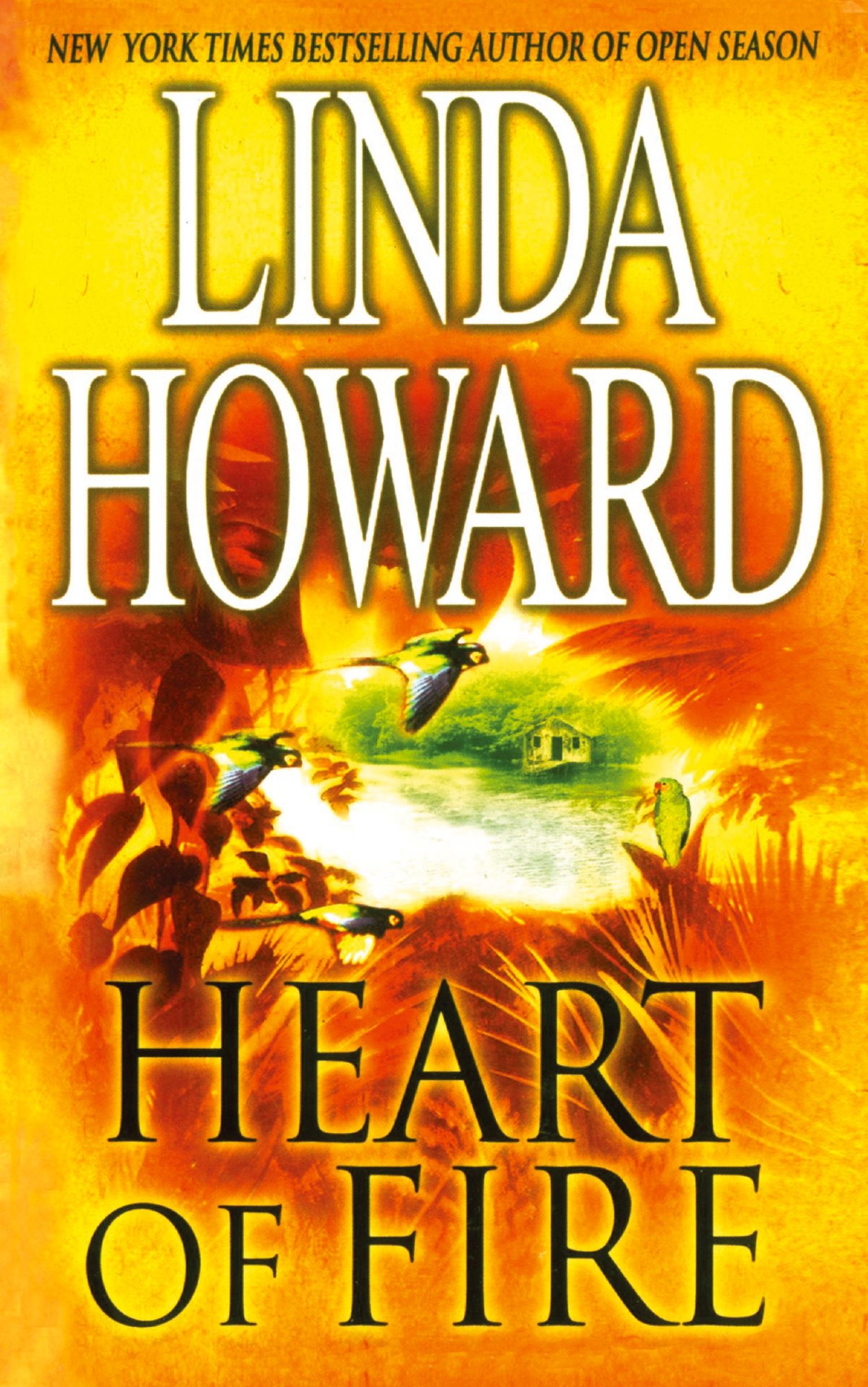 Vorderes Coverbild HEART OF FIRE