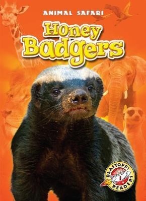 Vorderes Coverbild Honey Badgers